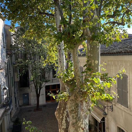 La Charmante Du Palais 2 Chambres อาวีญง ภายนอก รูปภาพ