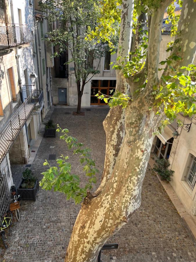 La Charmante Du Palais 2 Chambres อาวีญง ภายนอก รูปภาพ