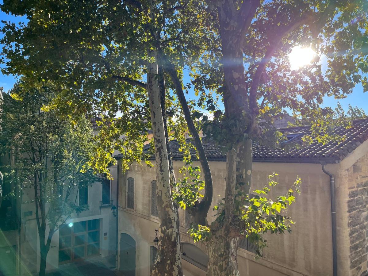 La Charmante Du Palais 2 Chambres อาวีญง ภายนอก รูปภาพ
